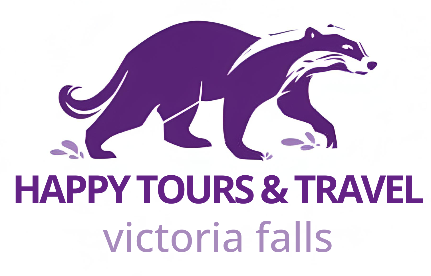 happytoursvicfalls.com
