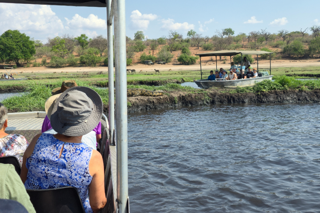 Guests spot a crocodile on a Chobe river safari