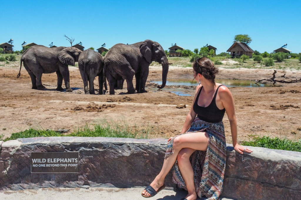 tourist sitting with elephants at elephant sands lodge