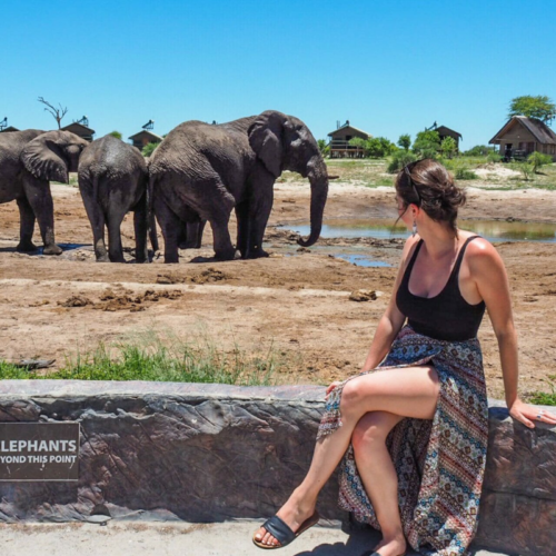 tourist sitting with elephants at elephant sands lodge