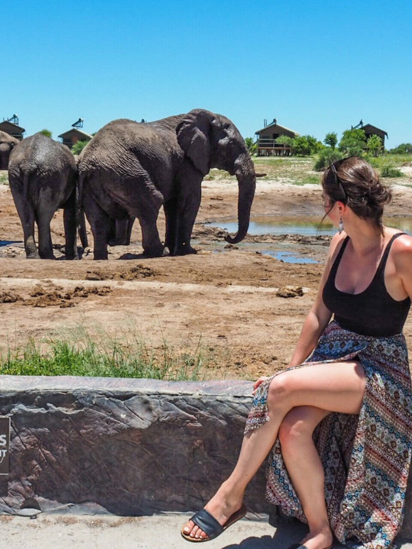 tourist sitting with elephants at elephant sands lodge